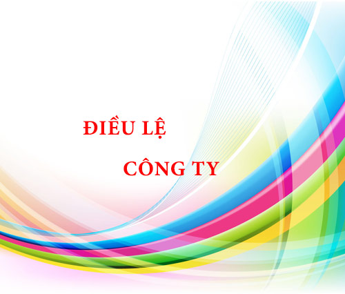 Điều lệ Công ty cổ phần Đầu tư xây dựng dầu khí IDICO tháng 5 - 2019